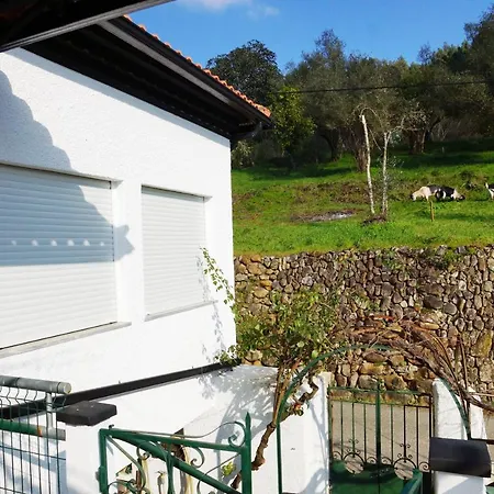 Villa Casa D'Avo Mila Góis Exterior foto